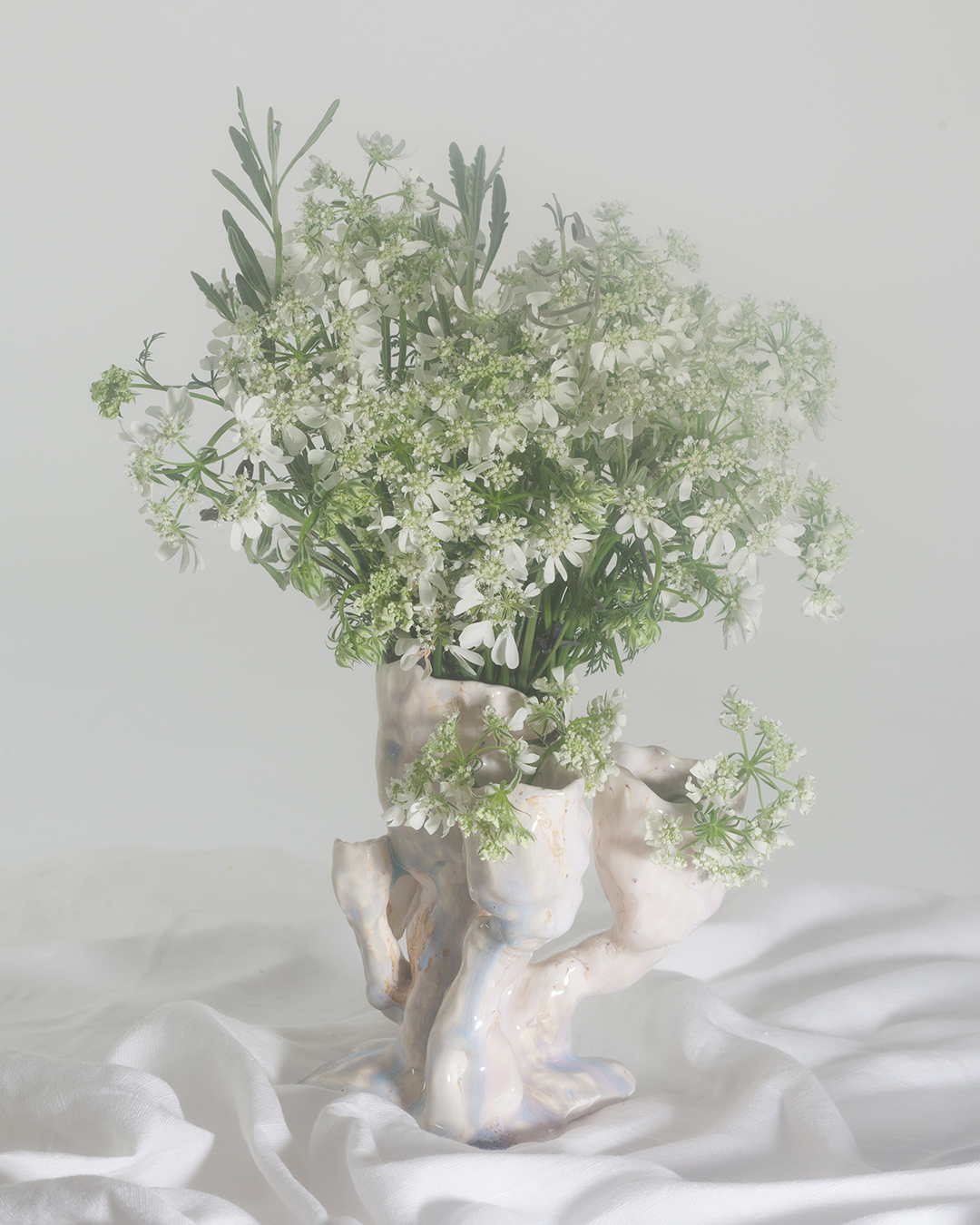 02Hydrangea